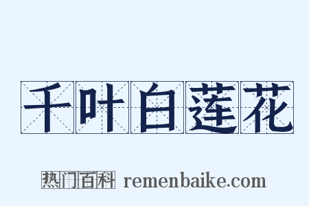 千叶白莲花是什么意思的图片